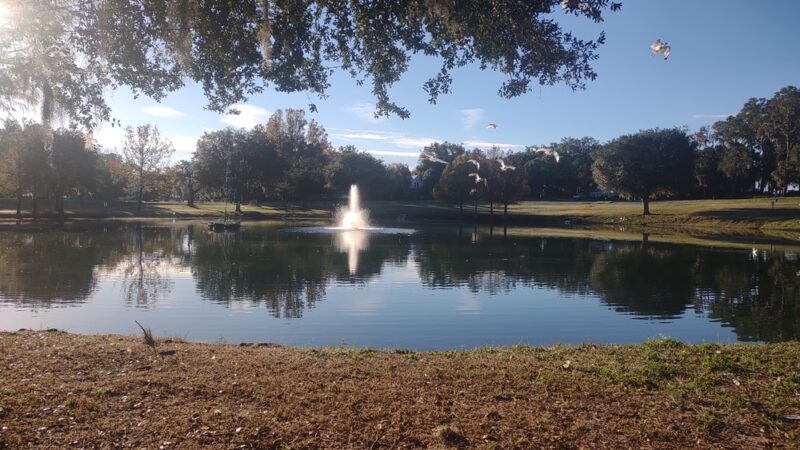 Lake Lillian Pavilion - Belleview, FL