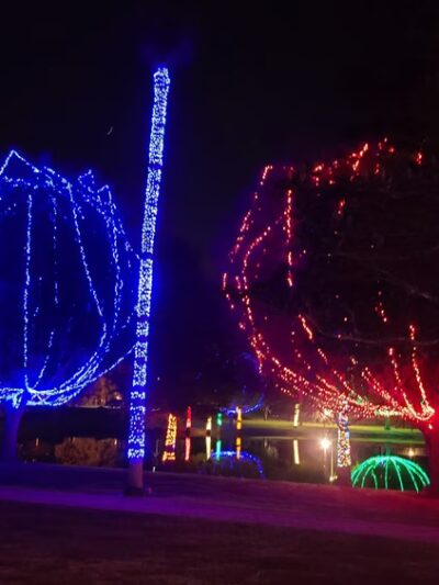 Lake Lillian Pavilion - Belleview, FL