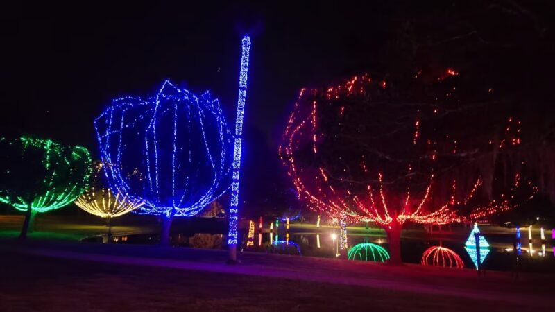 Lake Lillian Pavilion - Belleview, FL