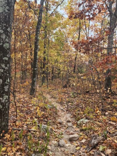 Bell Mountain / Ozark Trail Highway A Trailhead / Ottery Creek Trailhead - Belleview, MO