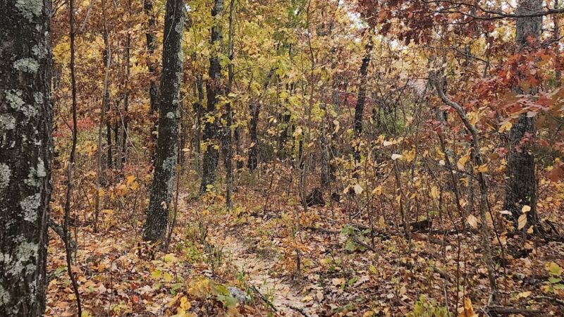 Bell Mountain / Ozark Trail Highway A Trailhead / Ottery Creek Trailhead - Belleview, MO