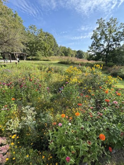 Bellevue State Park Butterfly Garden - Bellevue, IA