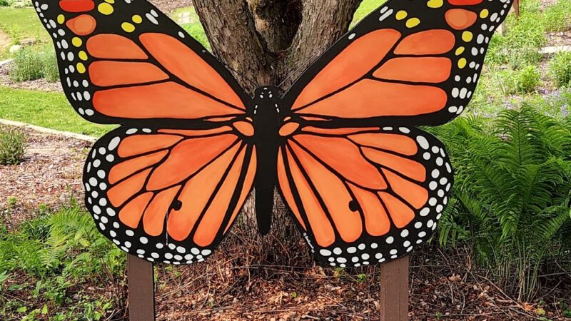 Bellevue State Park Butterfly Garden - Bellevue, IA