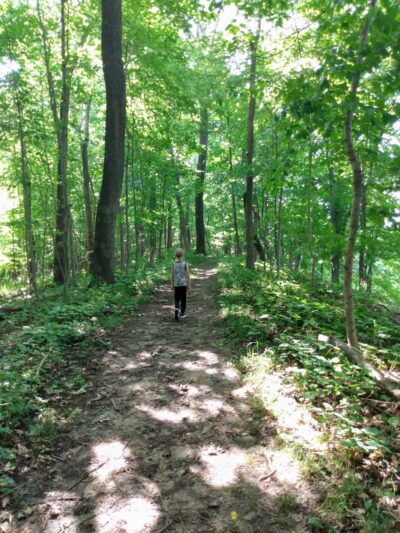 Bellevue State Park Dyas Unit Campground - Bellevue, IA