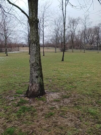 Bellevue Dog Park - Bellevue, OH