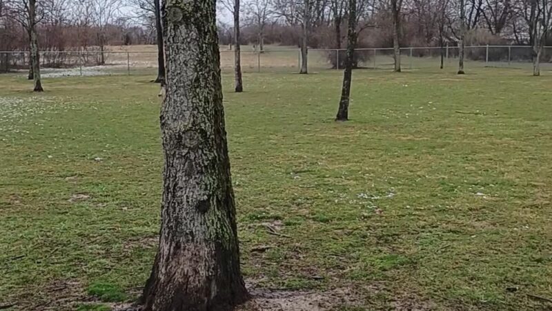 Bellevue Dog Park - Bellevue, OH