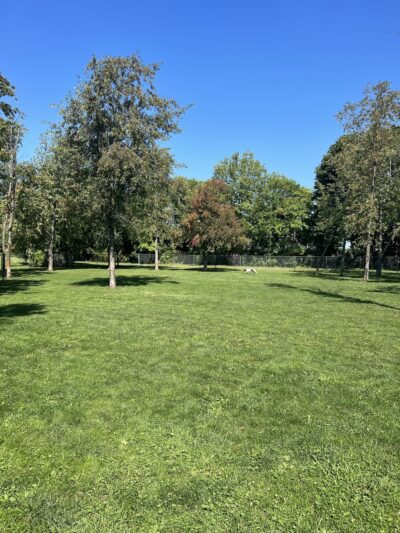 Bellevue Dog Park - Bellevue, OH