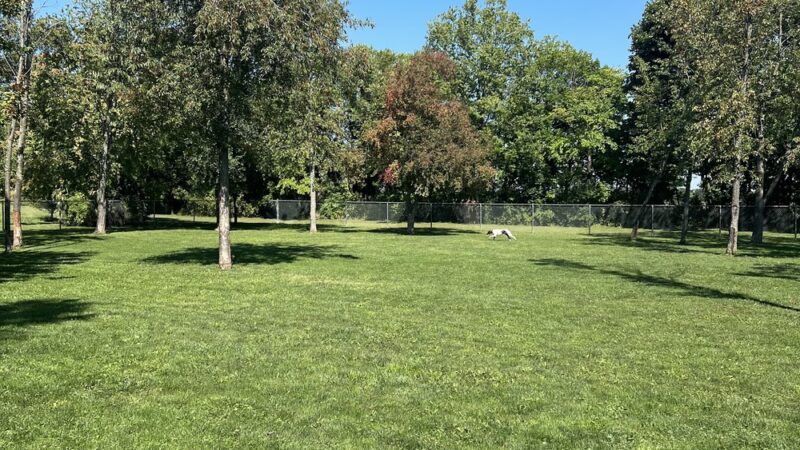 Bellevue Dog Park - Bellevue, OH
