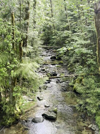 Y road trailhead - Bellingham, WA