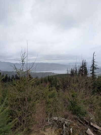 Y road trailhead - Bellingham, WA