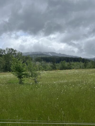 Y road trailhead - Bellingham, WA