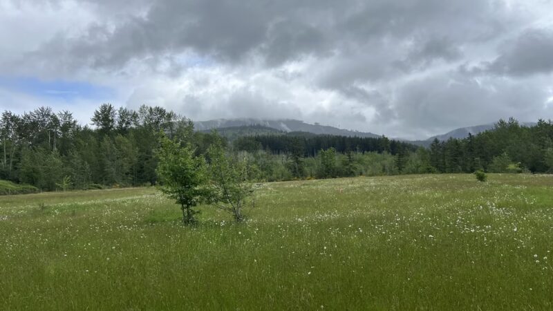 Y road trailhead - Bellingham, WA