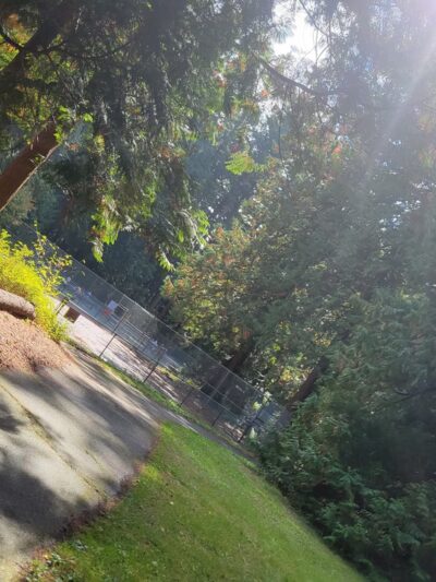 Cornwall Park - Bellingham, WA