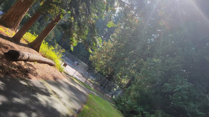 Cornwall Park - Bellingham, WA