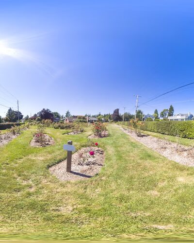 Cornwall Rose Garden - Bellingham, WA