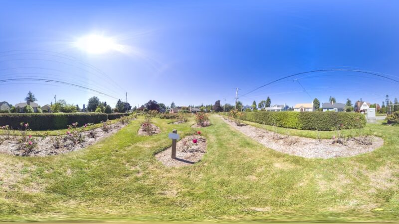 Cornwall Rose Garden - Bellingham, WA