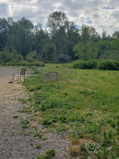 Lake Padden Dog Park - Bellingham, WA