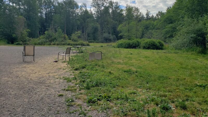 Lake Padden Dog Park - Bellingham, WA