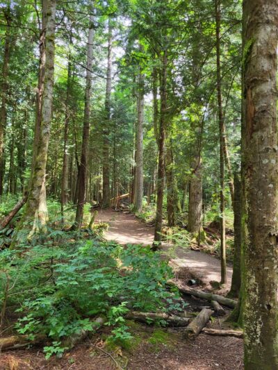 Lake Padden Dog Park - Bellingham, WA