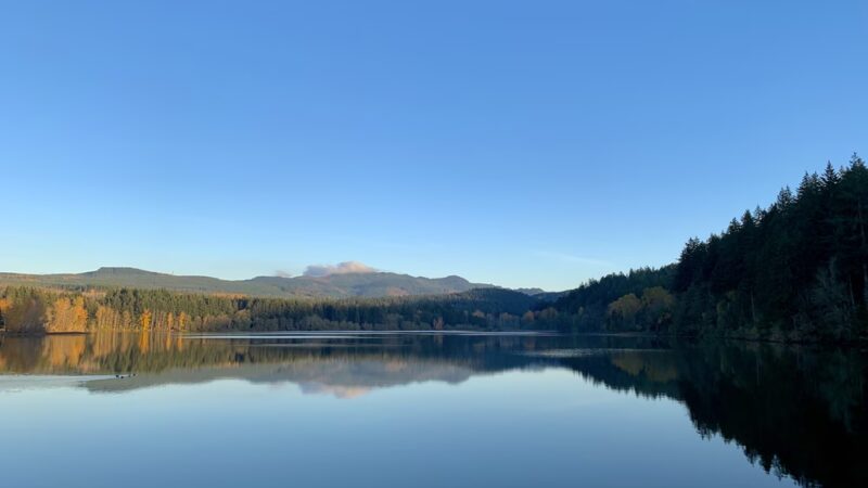 Lake Padden Park - Bellingham, WA