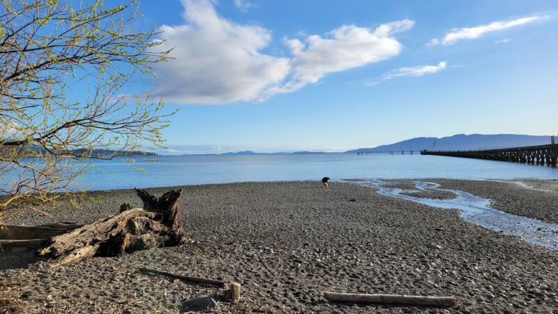 Little Squalicum Park - Bellingham, WA