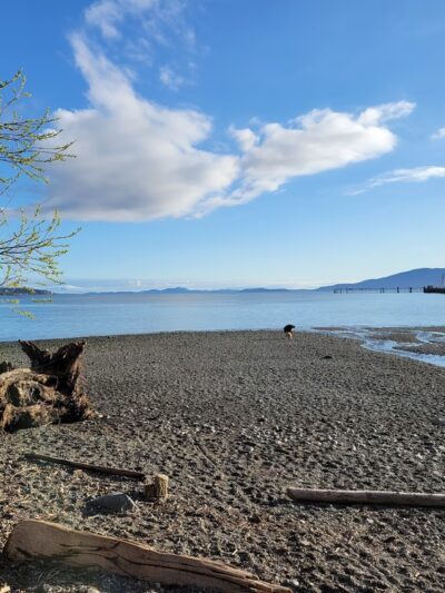 Little Squalicum Park - Bellingham, WA