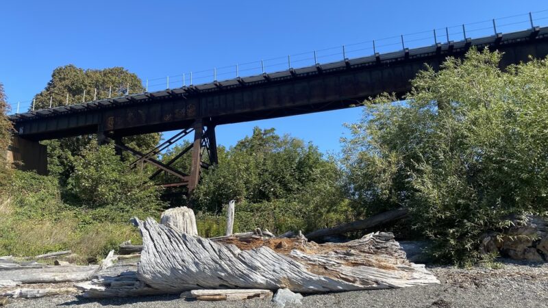 Little Squalicum Park - Bellingham, WA