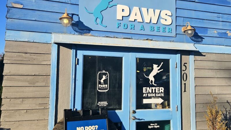 Paws For A Beer - Bellingham, WA