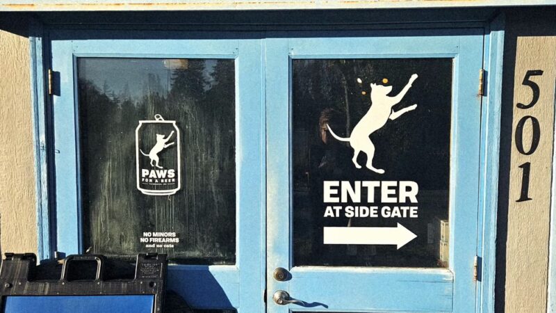 Paws For A Beer - Bellingham, WA