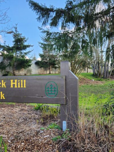Rock Hill Park - Bellingham, WA