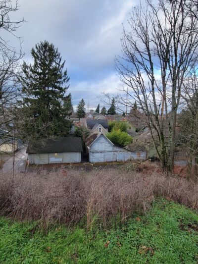 Rock Hill Park - Bellingham, WA