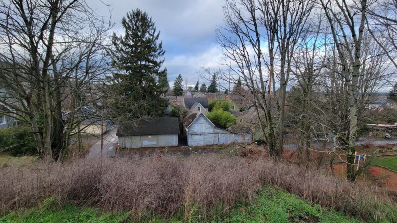 Rock Hill Park - Bellingham, WA
