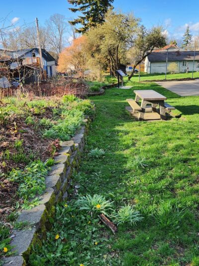 Rock Hill Park - Bellingham, WA