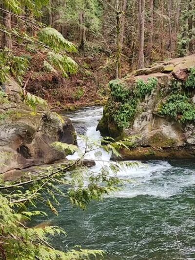 Roosevelt Park - Bellingham, WA
