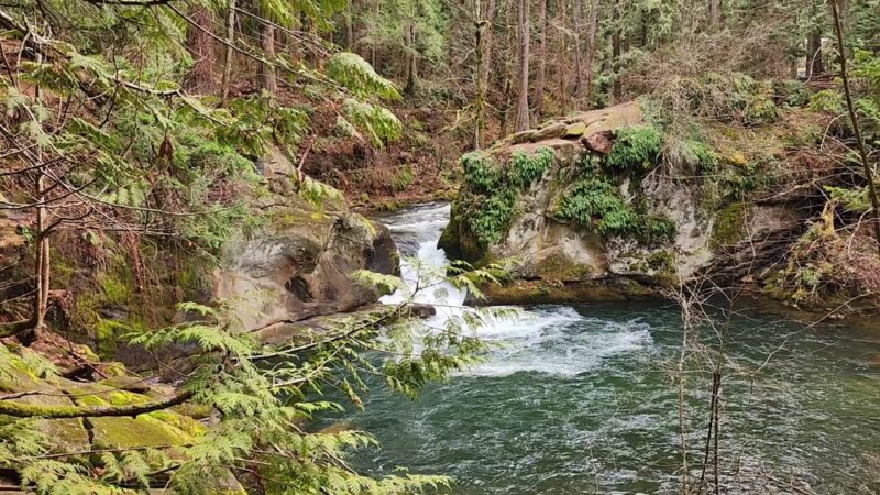 Roosevelt Park - Bellingham, WA