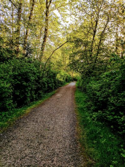Roosevelt Park - Bellingham, WA