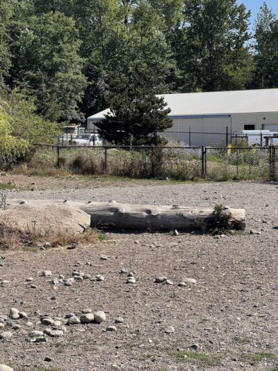 Squalicum Dog Park - Bellingham, WA