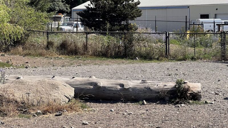 Squalicum Dog Park - Bellingham, WA