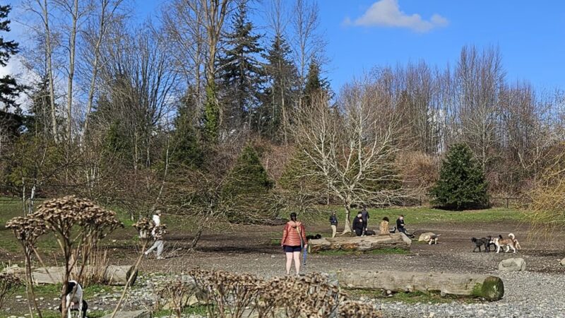 Squalicum Dog Park - Bellingham, WA
