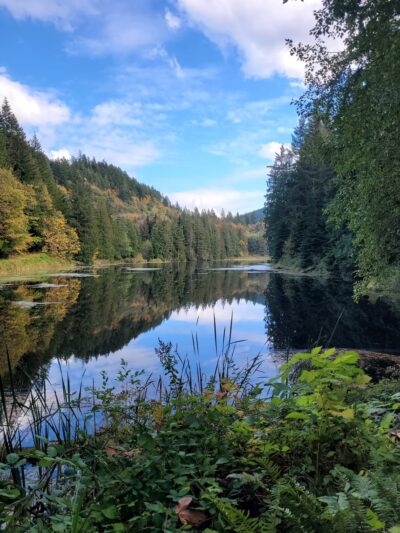 Squires Lake Park - Bellingham, WA