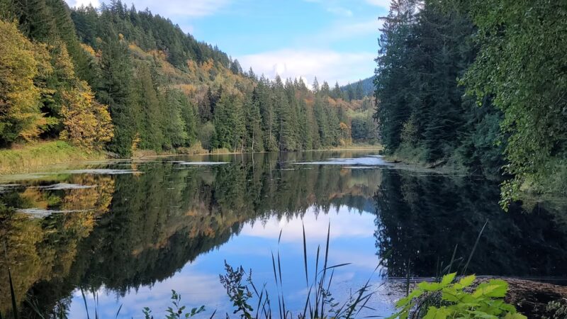 Squires Lake Park - Bellingham, WA