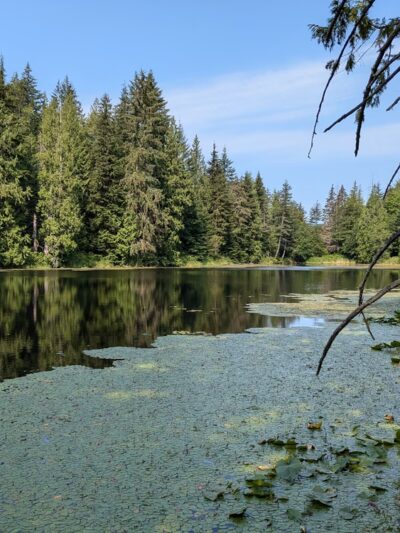 Squires Lake Park - Bellingham, WA