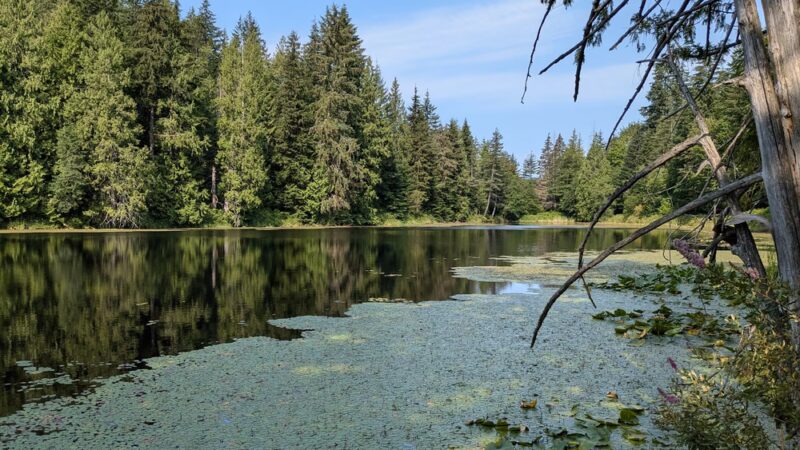Squires Lake Park - Bellingham, WA