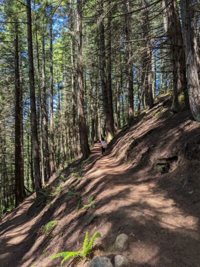 Two Dollar Trail Trailhead - Bellingham, WA