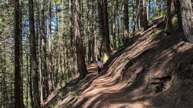 Two Dollar Trail Trailhead - Bellingham, WA