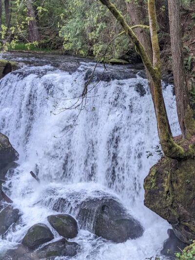 Whatcom Falls Park Stone Bridge - Bellingham, WA