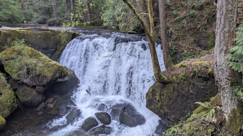Whatcom Falls Park Stone Bridge - Bellingham, WA
