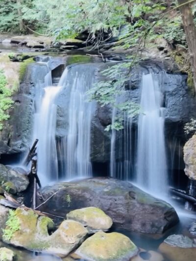 Whatcom Falls Park Stone Bridge - Bellingham, WA