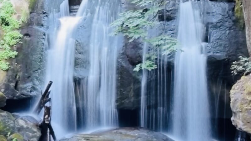 Whatcom Falls Park Stone Bridge - Bellingham, WA