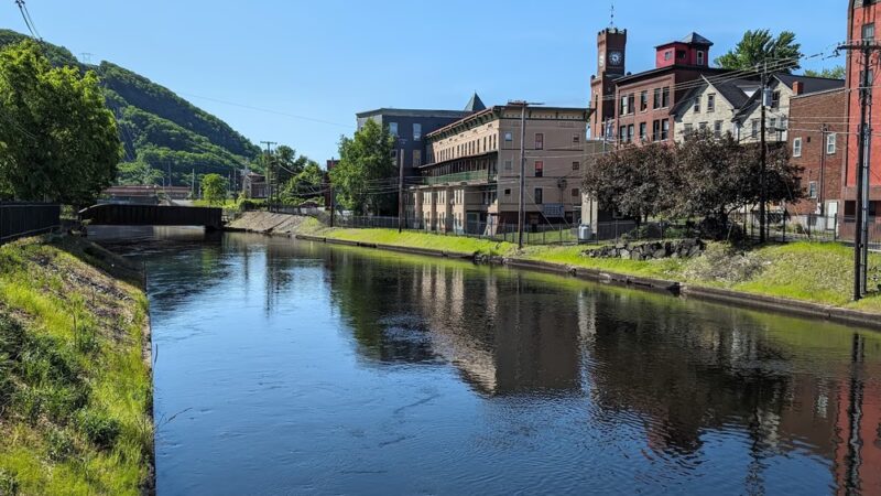 Bellows falls pet supply - Bellows Falls, VT